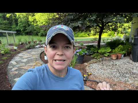 Planting a Flower Bed with Both Sun & Shade |  Gardening with Creekside