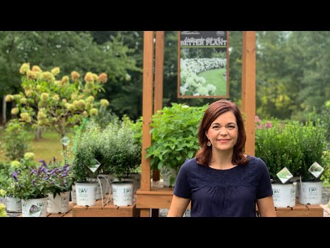 Late Summer Nursery Tour
