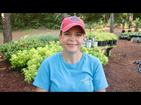July Nursery Garden Tour