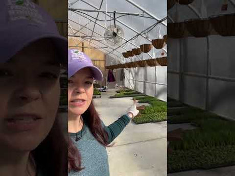 We’re Planting