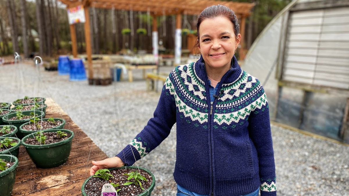 Nursery Tour & February Garden Chores