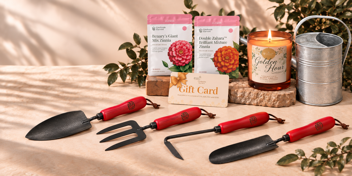 Gift Ideas