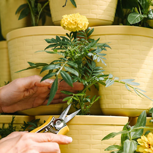 Greenstalk Vertical Planters