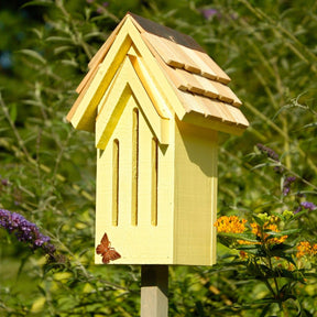 Mademoiselle butterfly house in a nursery container