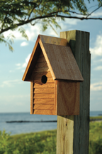 Starter Home Birdhouse hanging wooden birdhouse for plants