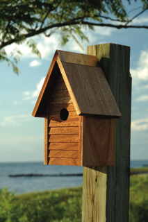 Starter Home Birdhouse hanging wooden birdhouse for plants