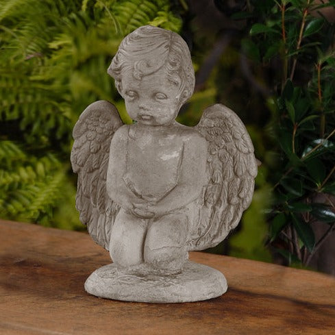 Giving Angel stone plant in a decorative pot