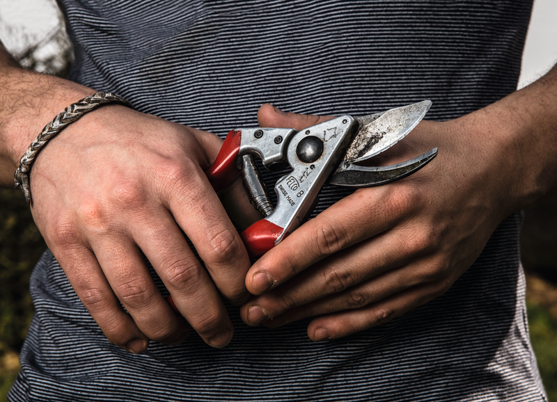 FELCO 8 pruning shear with red ergonomic handle