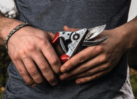 FELCO 8 pruning shear with red ergonomic handle