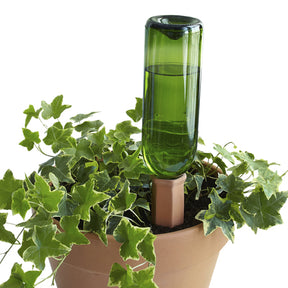 Hydro Wine four-pack watering spike system in packaged display