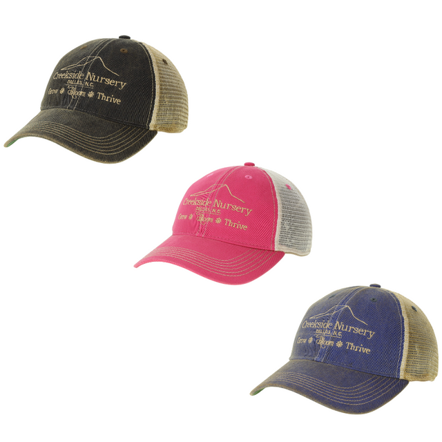 Creekside Hat in a nursery display with green leaves