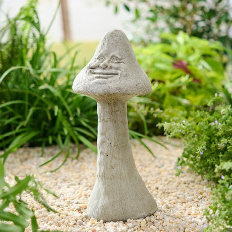 Shroomie unique stone plant in a small pot