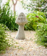 Shroomie unique stone plant in a small pot