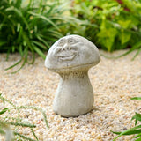 Shroomie unique stone in a small decorative pot