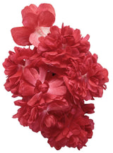 Red begonia in a nursery pot with green leaves and red blooms