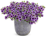 Superbells Blue Moon Punch calibrachoa with blue-purple blooms in pot