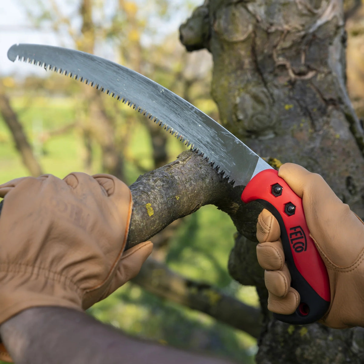 FELCO 630 pull-stroke saw with red handle and curved blade