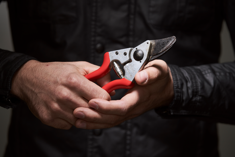 FELCO 6 ergonomic pruning shear with red handle