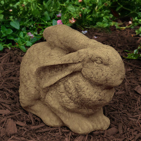 Long thin ear bunny succulent in a small pot