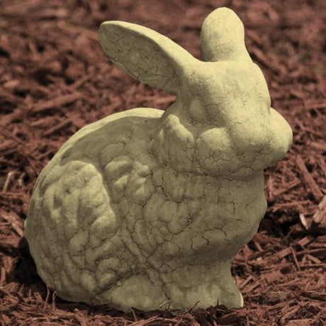 Fluffy Bunny stonecrop in a small nursery pot