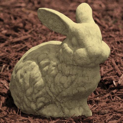 Fluffy Bunny stonecrop in a small nursery pot