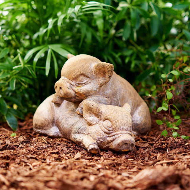 Millie & Molly Piglets unique stone plant in a pot