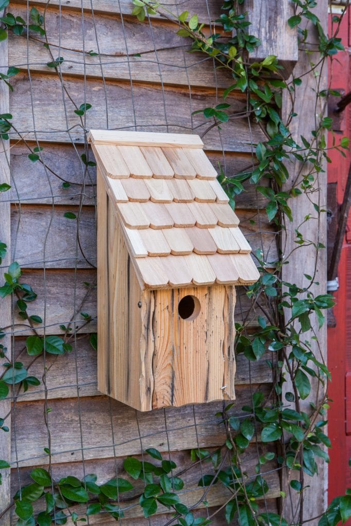 Bluebird Bunkhouse birdhouse with wood finish and perch