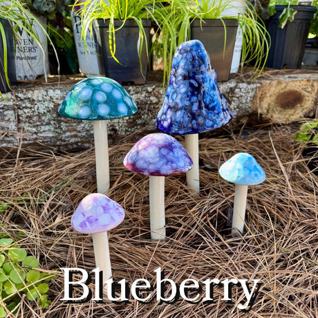 Shroomyz mushrooms in a 5-pack display tray