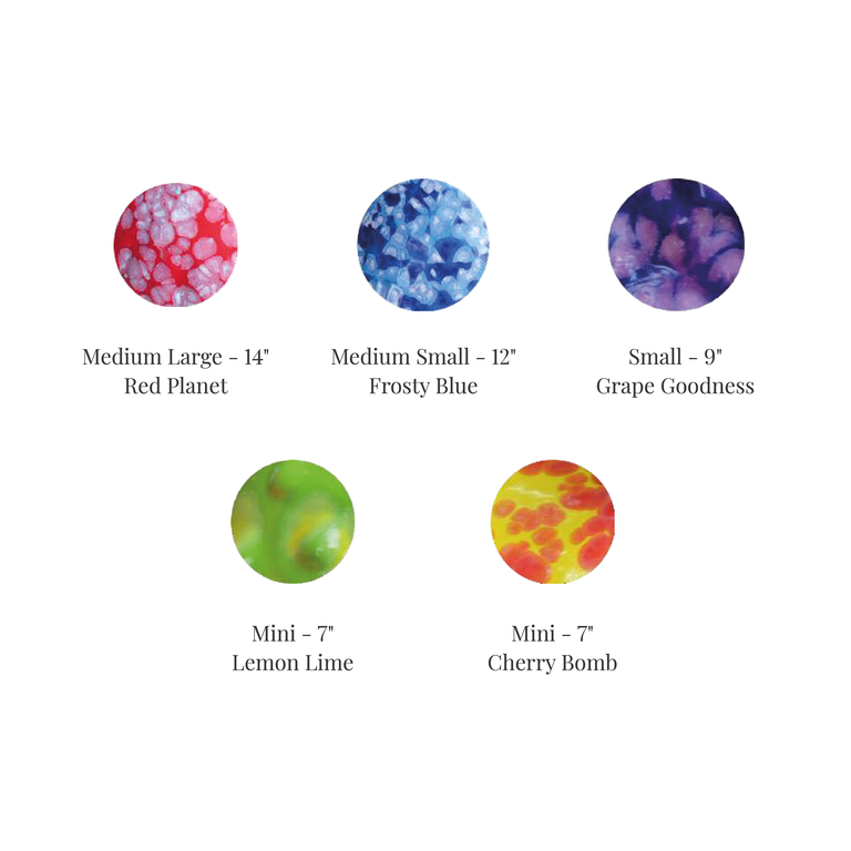 Shroomyz - 5 Pack – Creekside Nursery, Inc