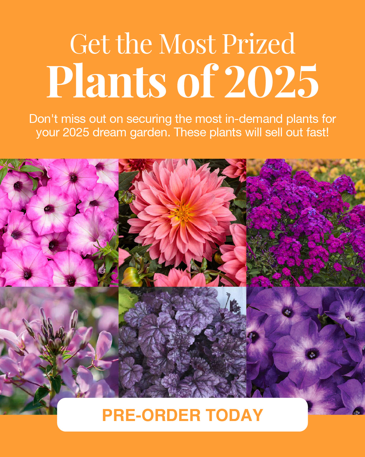 Creekside Nursery, Inc Garden Center Dallas, NC