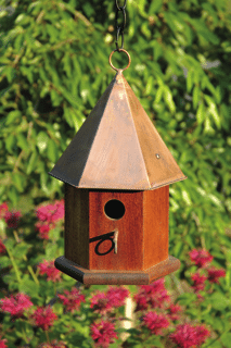 Copper Songbird Deluxe birdhouse with metal roof and perch