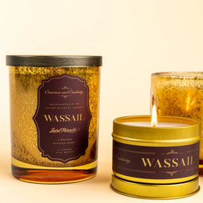 Wassail Candle plant with white blooms in a pot