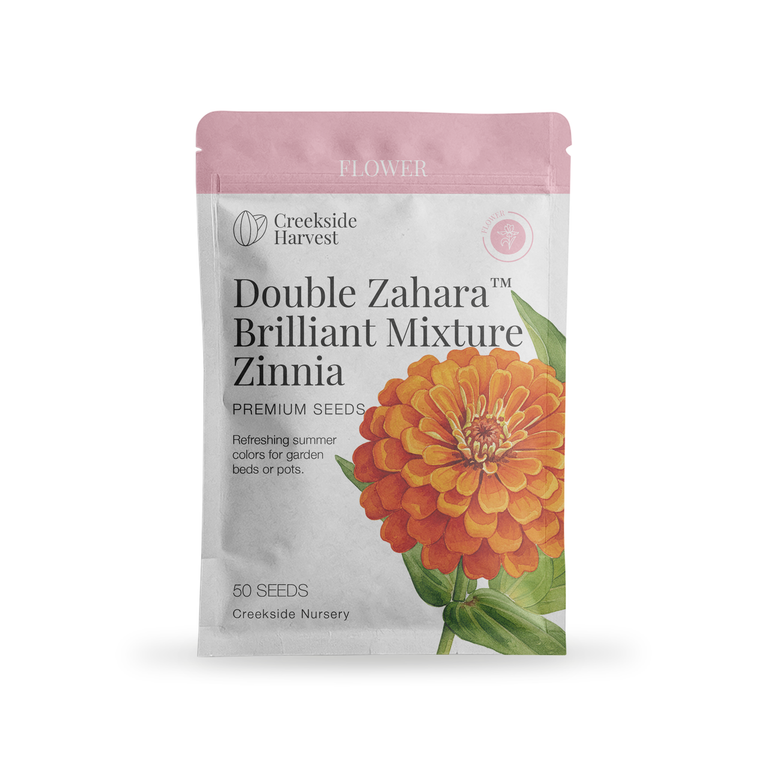 Double Zahara™ Brilliant Mixture Zinnia Seeds – Creekside Nursery, Inc