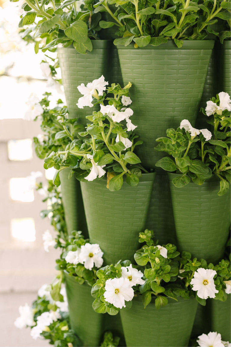 monstera plant trellis Moss Pole: Monstera Pattern: D-Shaped Open Moss Trellis - Large Plants 120 cm - 48