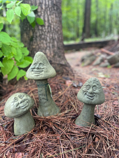 Shroomies Set unique stone mushroom garden décor in neutral tones