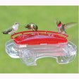 Jewel Box hummingbird feeders with colorful glass bodies