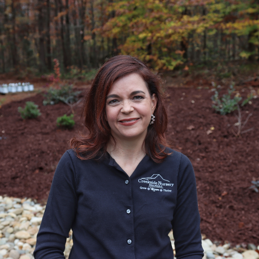 Jenny Simpson of Creekside Nursery in Dallas, NC check out our Youtube channel gardening with creekside