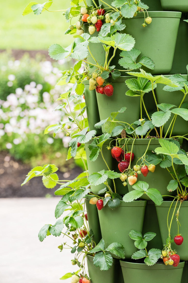 strawberry plant trellis 7 Tier GreenStalk Garden Leaf Vertical Planter - Basic Texture Stunning Stone