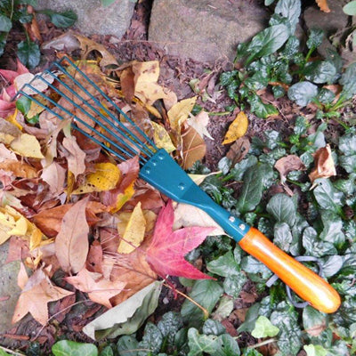 Kinsman hand rake with wooden handle and metal tines