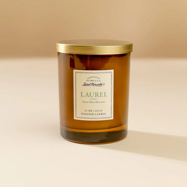 Laurel Candle plant in a pot with green leaves