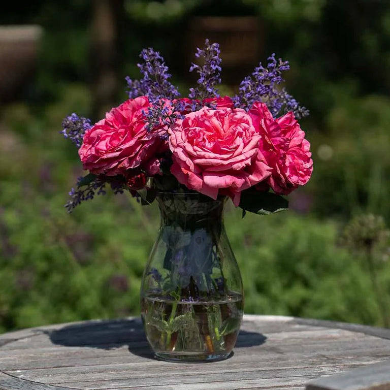 Loves Me, Loves Me Not™ Rose