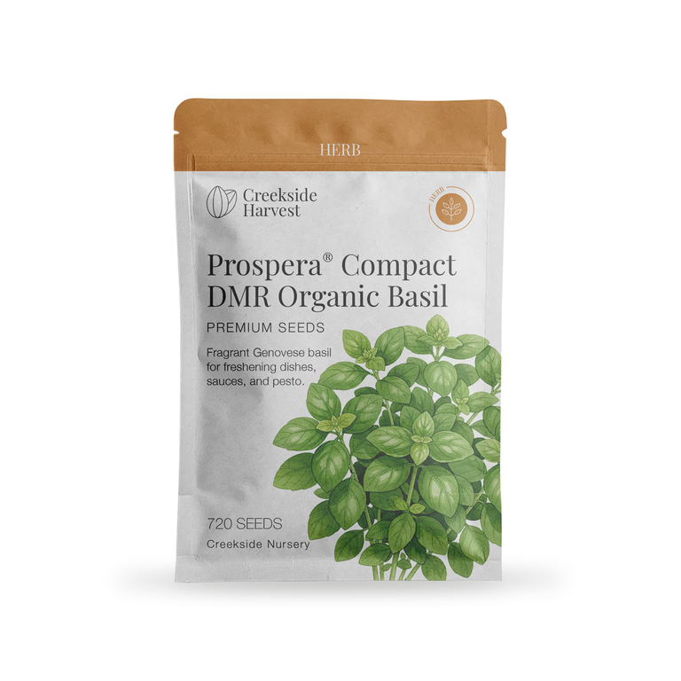 organic basil seeds for planting Prospera® Compact DMR Organic Basil Seeds