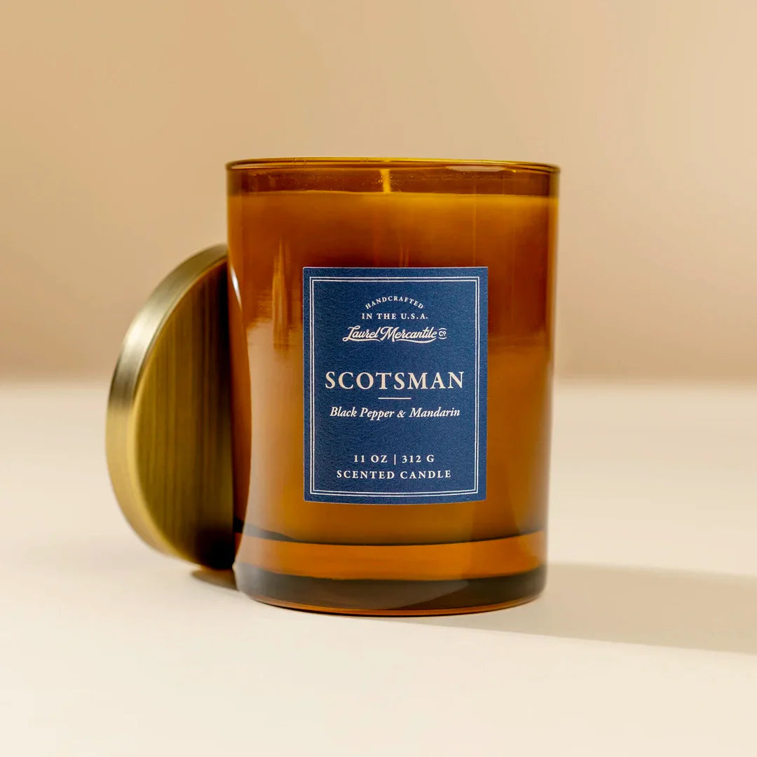 Scotsman Candle plant in a pot with upright green foliage