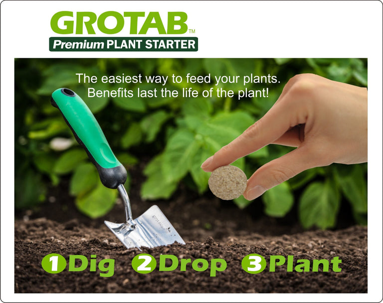 tree planting fertilizer tablets GroTab Fertilizer Tablets 500 count
