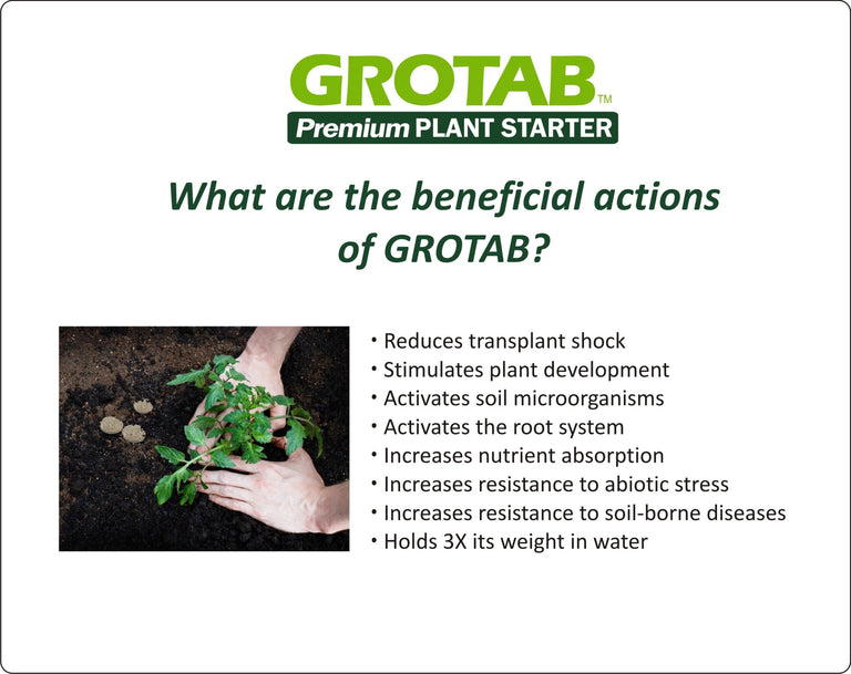 fertilizer tablets for plants GroTab Fertilizer Tablets 500 count