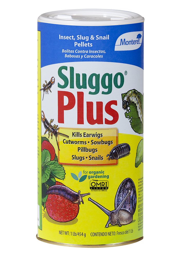 Sluggo Plus 1 lb package in a white container
