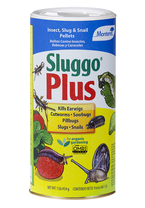 Sluggo Plus 1 lb package in a white container