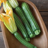 Sophy Zucchini Squash Seeds