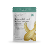 Tempest Organic Yellow Summer Squash Seeds