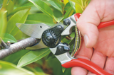 FELCO 6 Ergo medium one-hand pruning shear, red handle